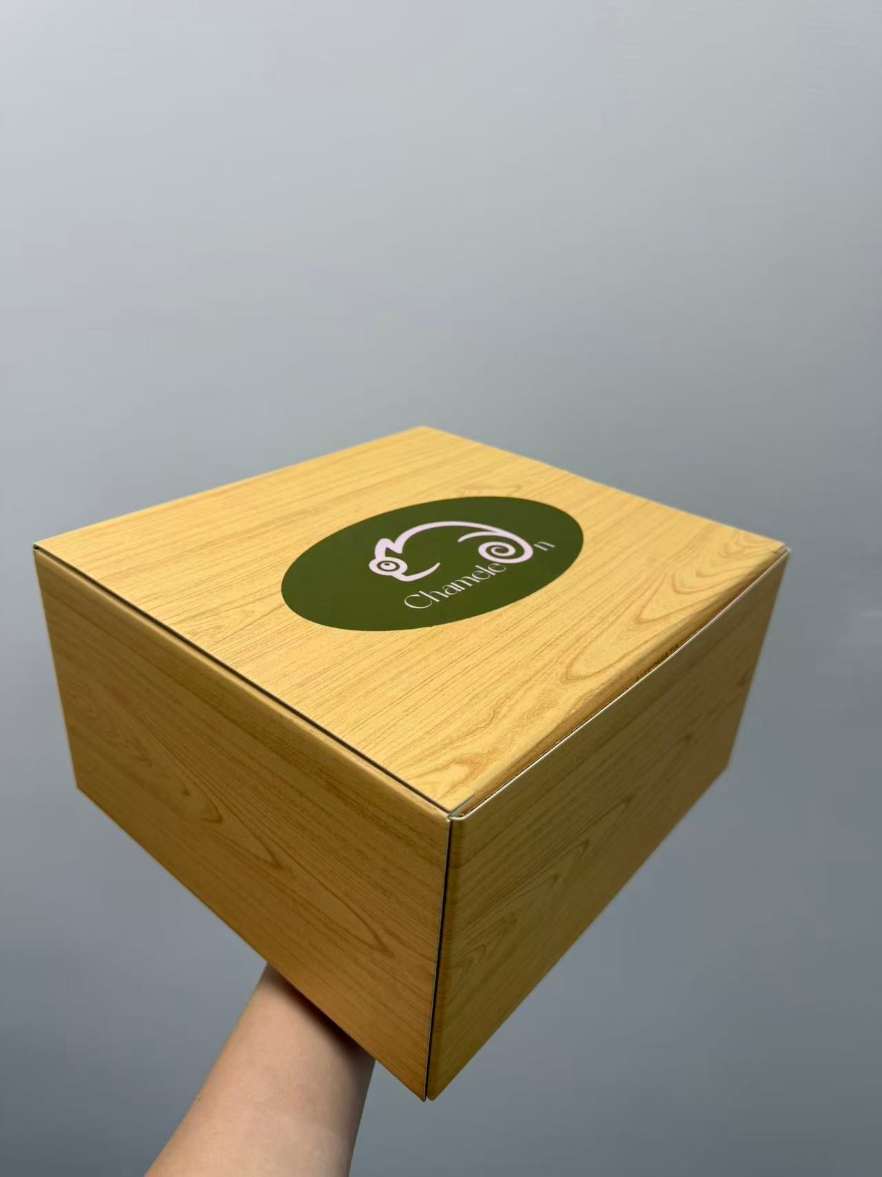 Artisan Wooden Jellyfish Automaton V2